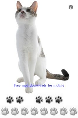 SingingCat