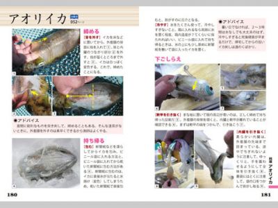 イカ・タコ識別図鑑