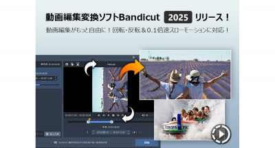 新製品