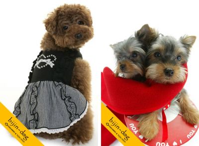 bijin-dog3
