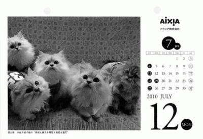 2011極楽ねこカレンダー