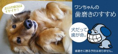 マインドアップ