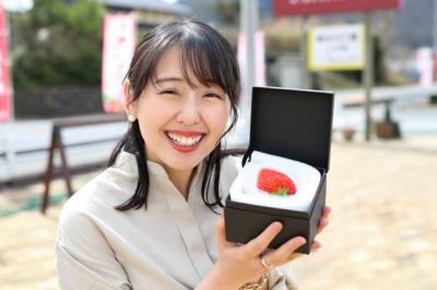 新製品