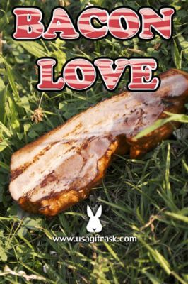 Bacon_Love