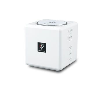 IG-EX20