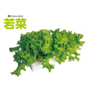 NatureBox若菜