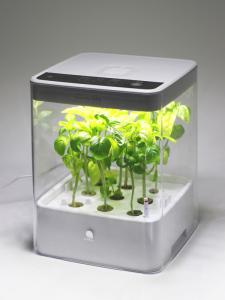 Green_Farm_Cube