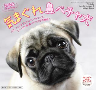 新製品