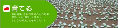アズーレ株式会社