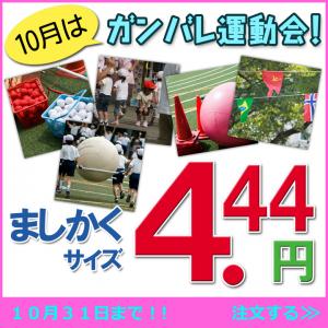 新製品