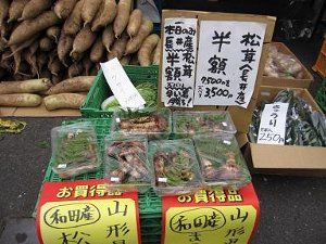 池上ショップ情報サイト