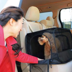 PETRAVEL