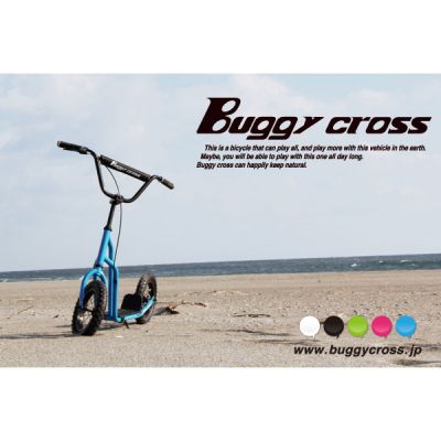 Buggy_cross