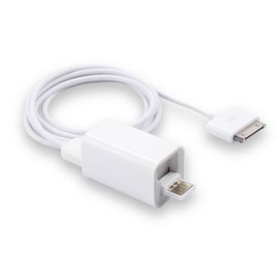 IP-646
