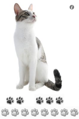 SingingCat