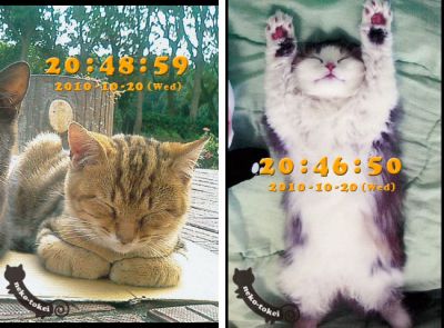 寝顔のねこ時計