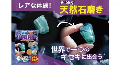 新製品