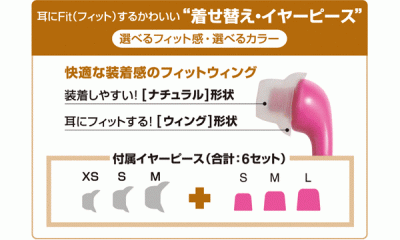 CLEF-Fit2