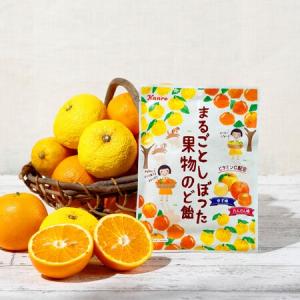 新製品