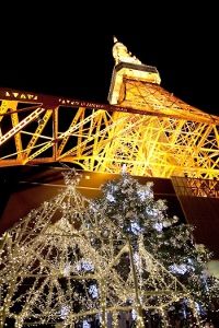 クリスマスツリー