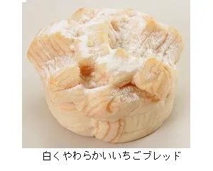 潔く柔く