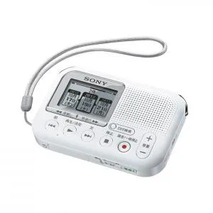 ICD-LX31