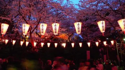 花見