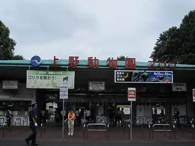 花見