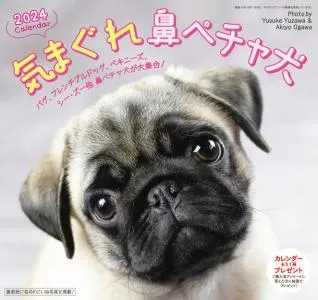 新製品