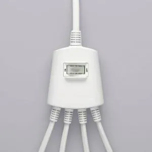BSTAP24E