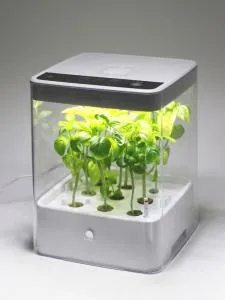 Green_Farm_Cube