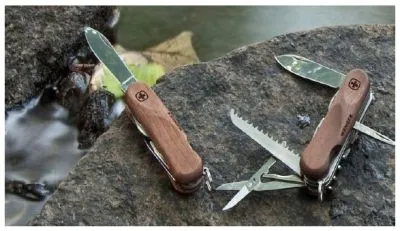 EvoWood
